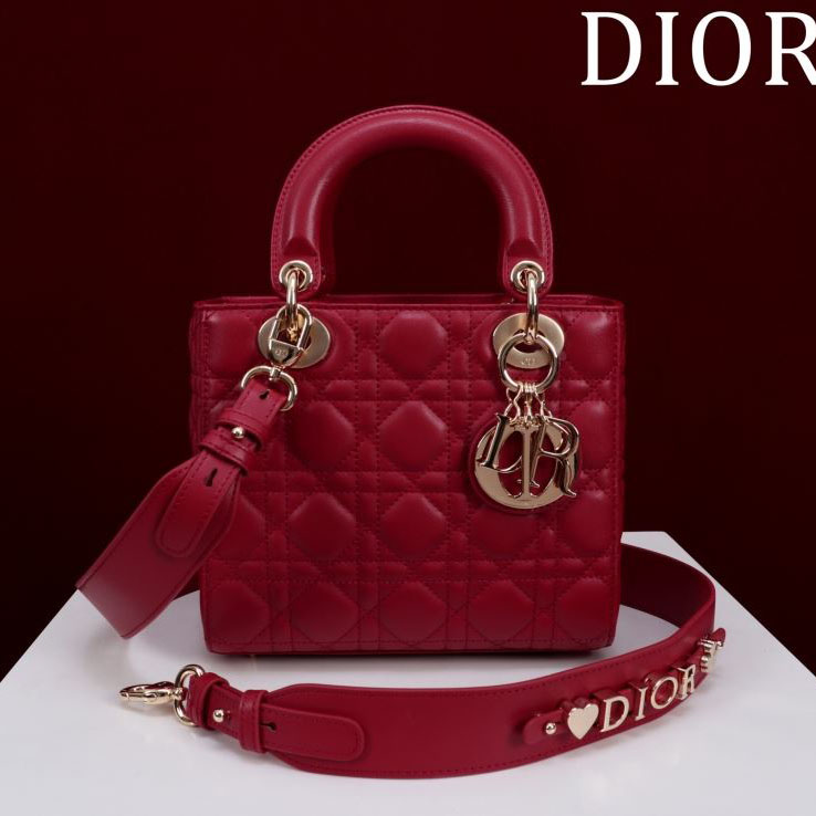 chr1st1an D10r my lady bags